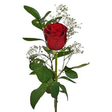Load image into Gallery viewer, Single Red Rose