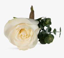 Load image into Gallery viewer, Classic White Rose &amp; Eucalyptus Wedding Collection
