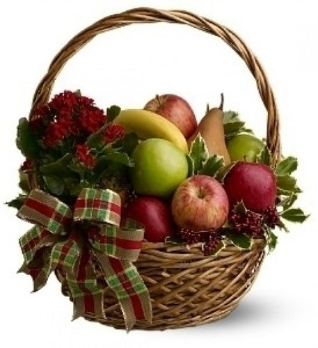 Fruit and plant Basket