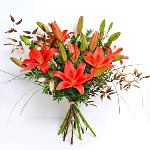 Festive Red Lilies