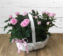 Load image into Gallery viewer, Rose Planter with bow